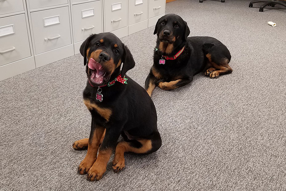 Remi and Winnie Coleman : Directors of Entertainment and Engagement